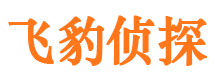 津市市私人侦探